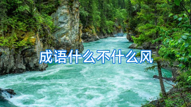 成语什么不什么风