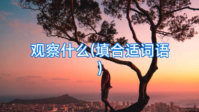 观察什么(填合适词语)