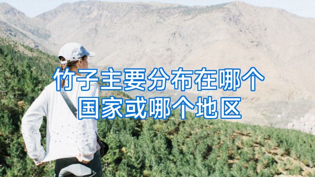 竹子主要分布在哪个国家或哪个地区