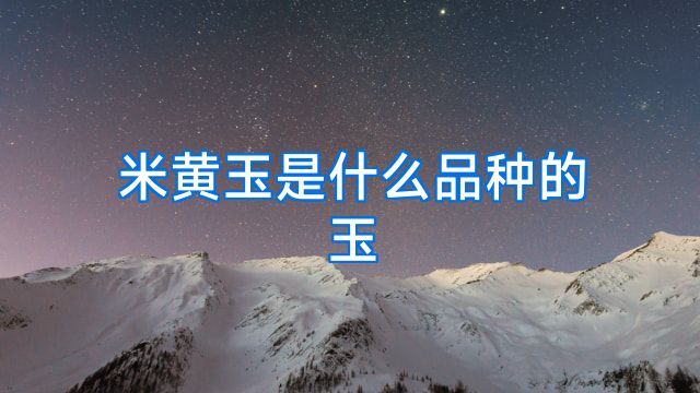 米黄玉是什么品种的玉