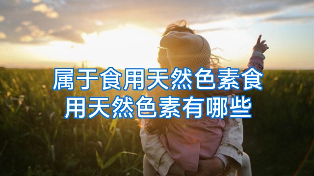 属于食用天然色素食用天然色素有哪些
