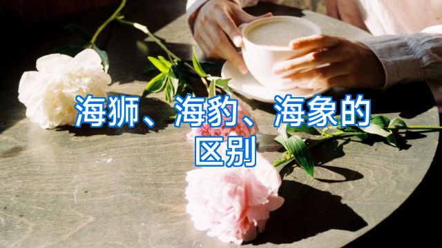 海狮、海豹、海象的区别