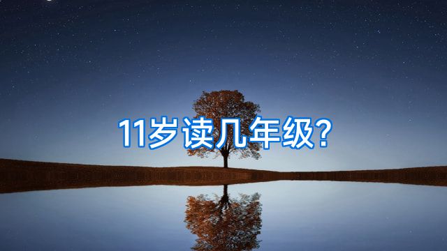 11岁读几年级?