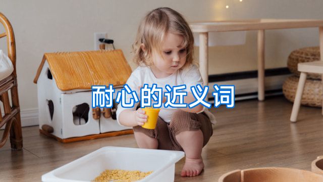 耐心的近义词