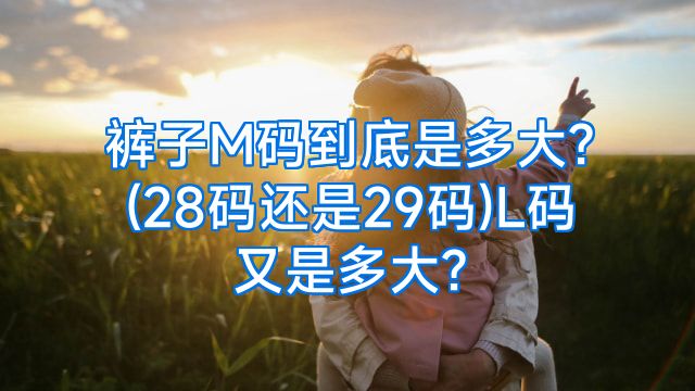 裤子M码到底是多大?(28码还是29码)L码又是多大?