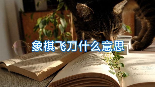 象棋飞刀什么意思