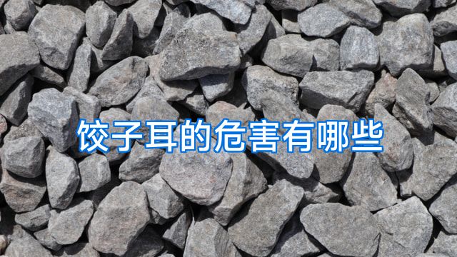饺子耳的危害有哪些