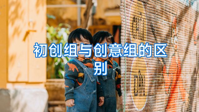 初创组与创意组的区别