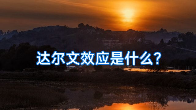 达尔文效应是什么?