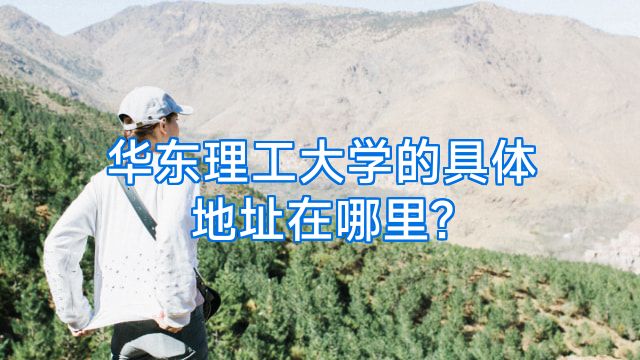 华东理工大学的具体地址在哪里?