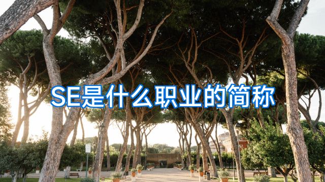 SE是什么职业的简称