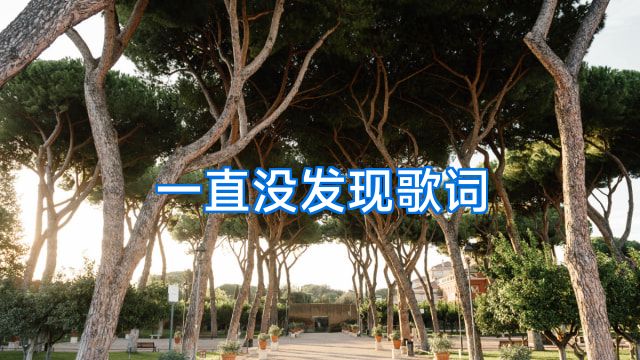一直没发现歌词
