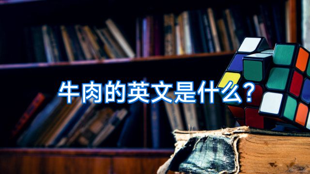 牛肉的英文是什么?