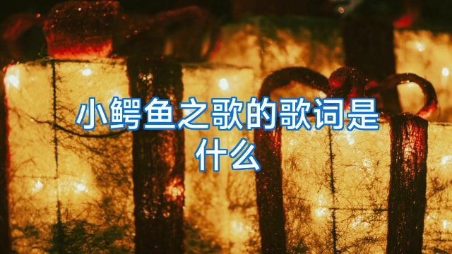 小鳄鱼之歌的歌词是什么