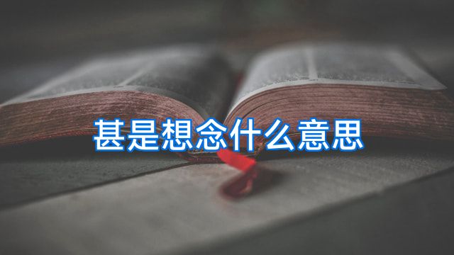 甚是想念什么意思