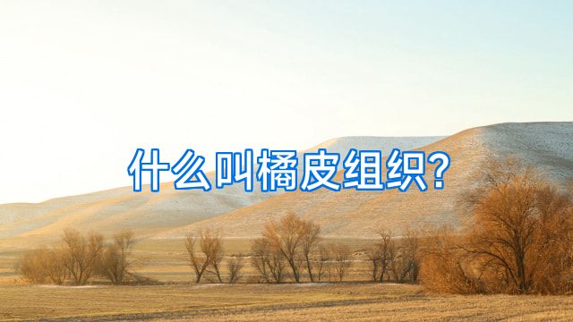 什么叫橘皮组织?