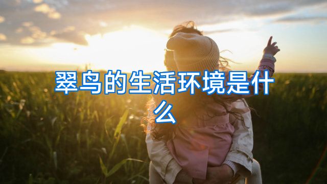 翠鸟的生活环境是什么