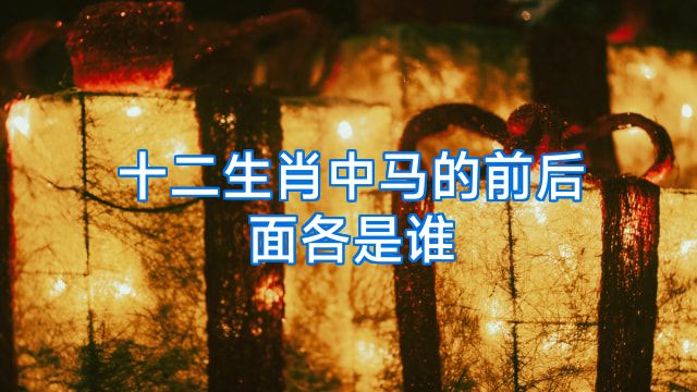 十二生肖中马的前后面各是谁