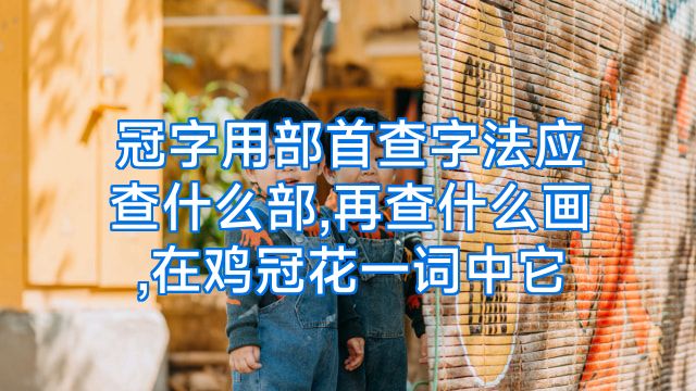 冠字用部首查字法应查什么部,再查什么画,在鸡冠花一词中它