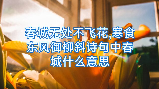 春城无处不飞花,寒食东风御柳斜诗句中春城什么意思