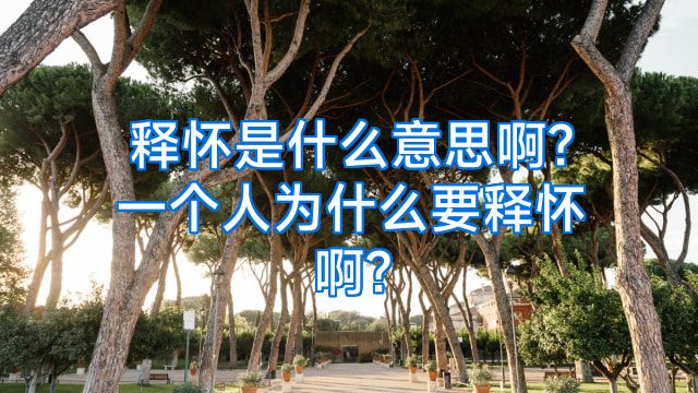 释怀是什么意思啊?一个人为什么要释怀啊?