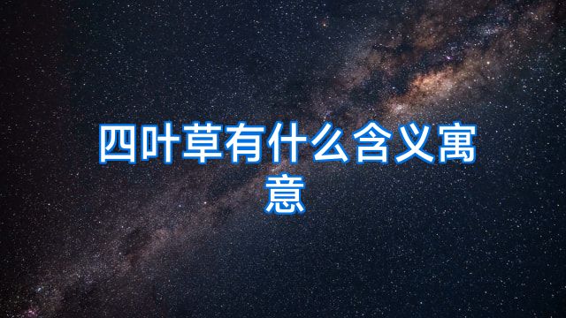 四叶草有什么含义寓意