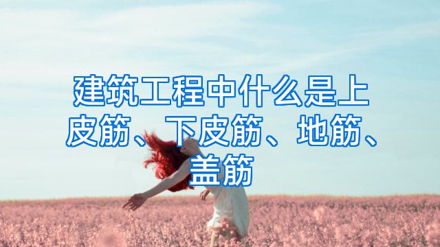 建筑工程中什么是上皮筋、下皮筋、地筋、盖筋