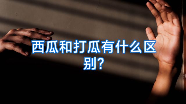 西瓜和打瓜有什么区别?