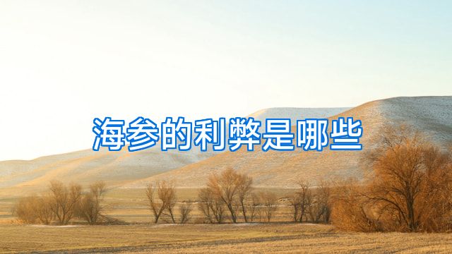 海参的利弊是哪些