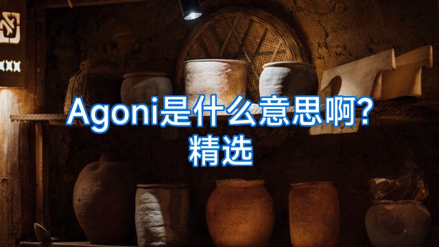 Agoni是什么意思啊?精选