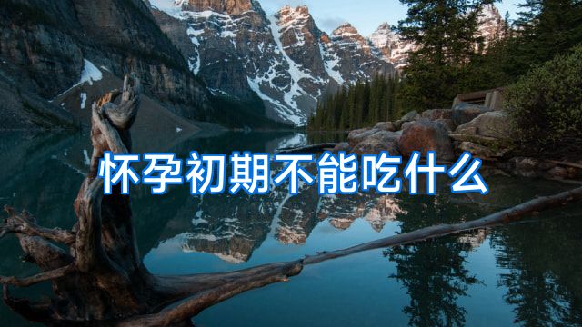怀孕初期不能吃什么