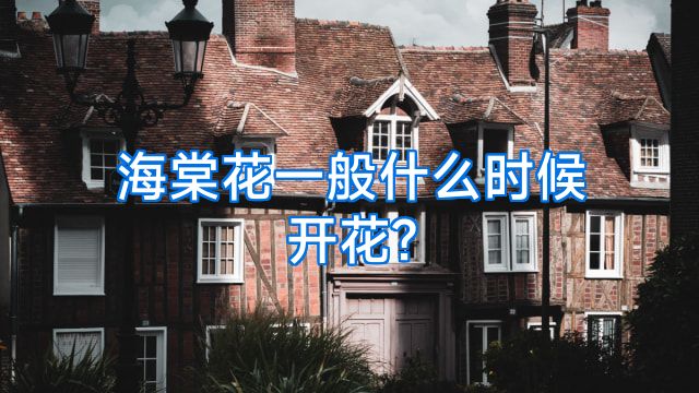 海棠花一般什么时候开花?
