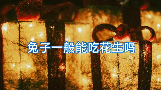 兔子一般能吃花生吗