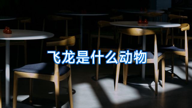 飞龙是什么动物