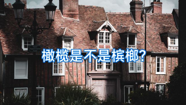 橄榄是不是槟榔?