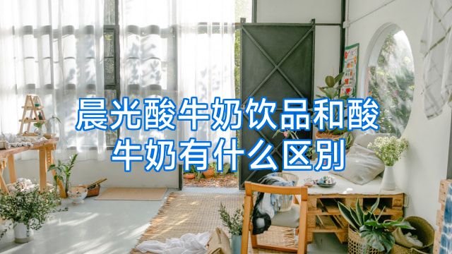 晨光酸牛奶饮品和酸牛奶有什么区別
