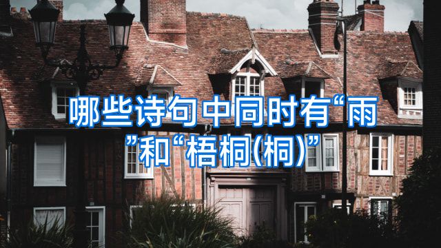 哪些诗句中同时有“雨”和“梧桐(桐)”