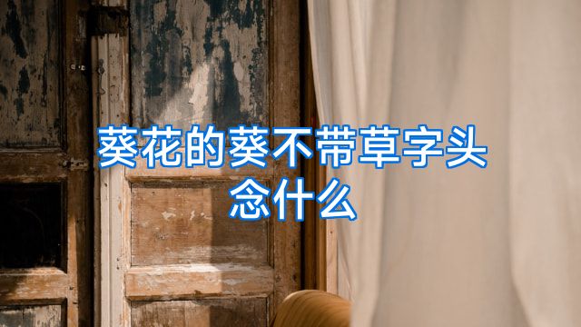 葵花的葵不带草字头念什么