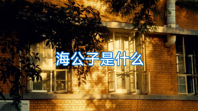 海公子是什么