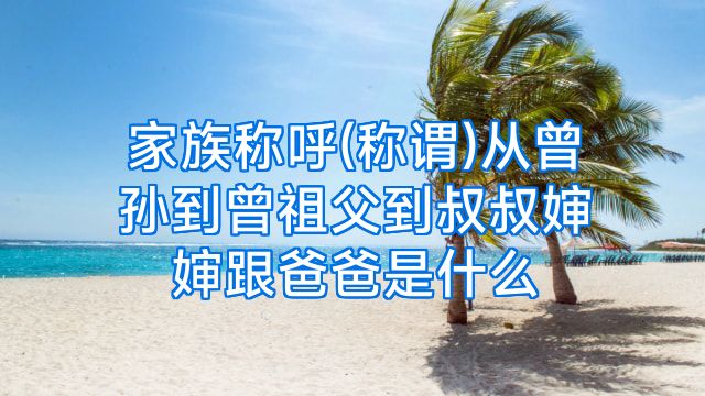 家族称呼(称谓)从曾孙到曾祖父到叔叔婶婶跟爸爸是什么
