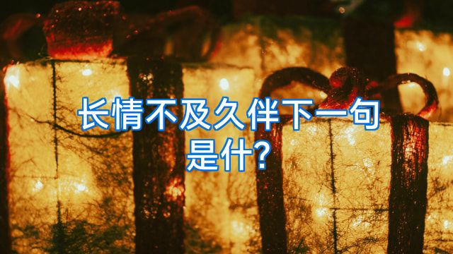 长情不及久伴下一句是什?