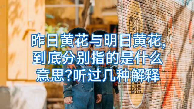 昨日黄花与明日黄花,到底分别指的是什么意思?听过几种解释