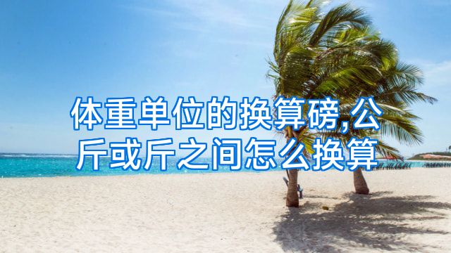 体重单位的换算磅,公斤或斤之间怎么换算