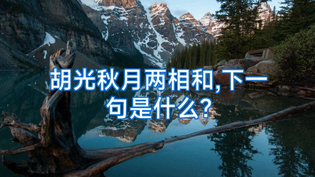 胡光秋月两相和,下一句是什么?