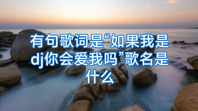 有句歌词是“如果我是dj你会爱我吗”歌名是什么