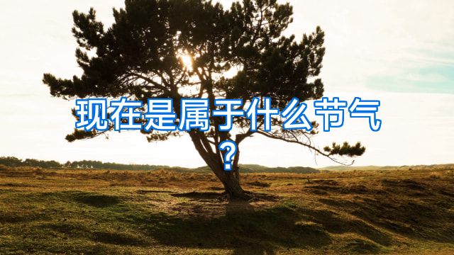现在是属于什么节气?