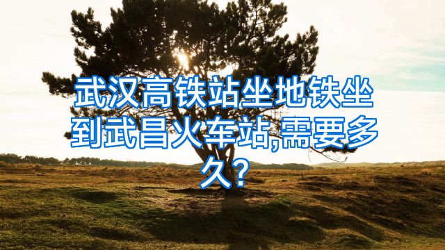 武汉高铁站坐地铁坐到武昌火车站,需要多久?