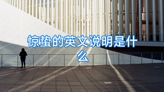 惊蛰的英文说明是什么