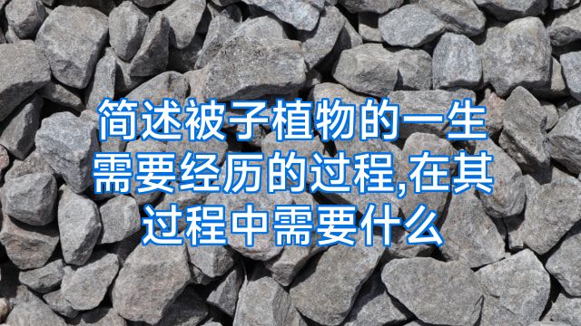 简述被子植物的一生需要经历的过程,在其过程中需要什么