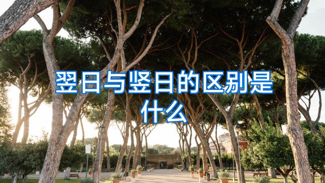 翌日与竖日的区别是什么